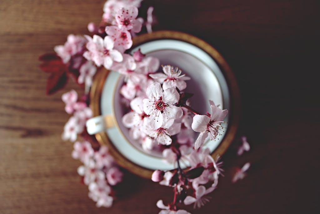 Top view of cherry blossoms artistically arranged in a cup on wooden table.